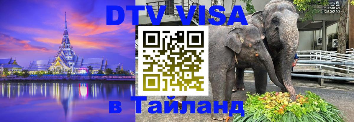 Оформление DTV визы под ключ: стоимость и тарифы, только загранпаспорт - 